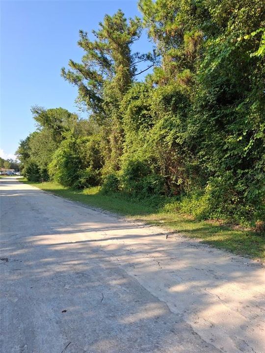 Active With Contract: $34,900 (0.46 acres)