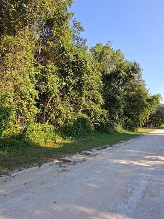 Active With Contract: $34,900 (0.46 acres)