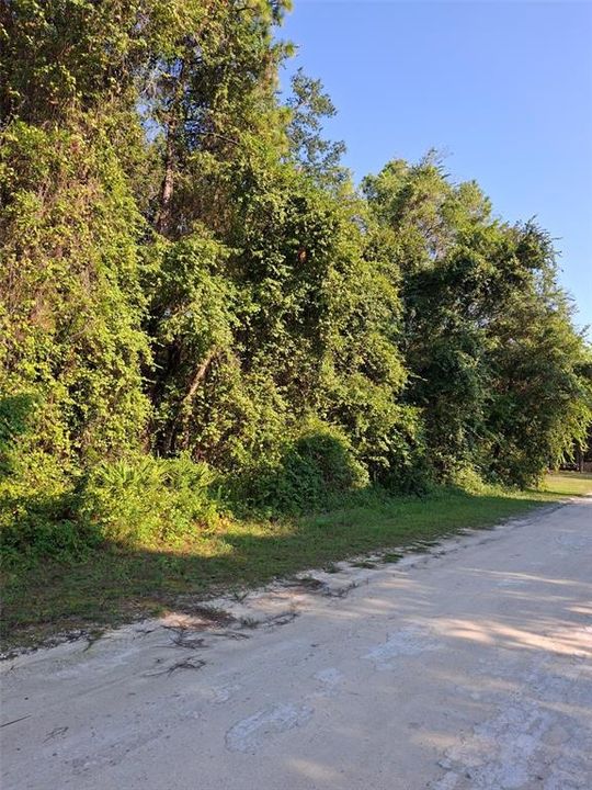 Active With Contract: $34,900 (0.46 acres)