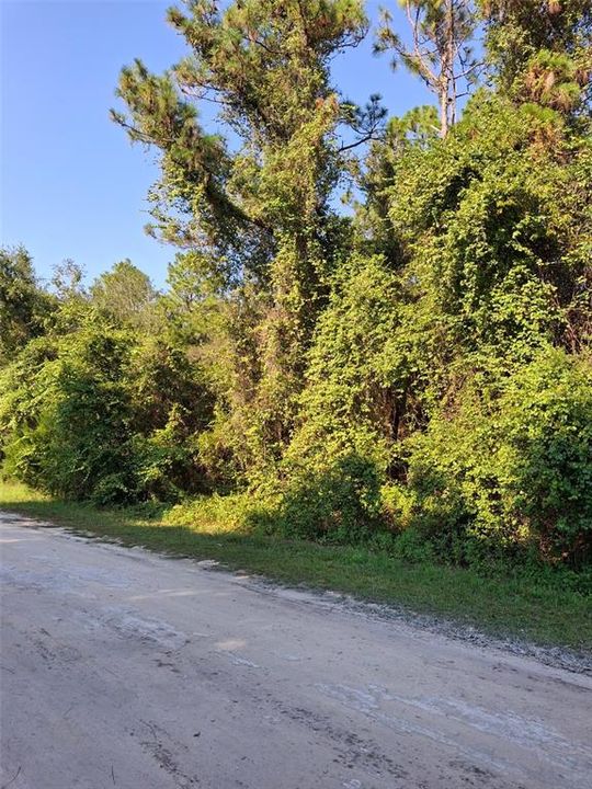 Active With Contract: $34,900 (0.46 acres)
