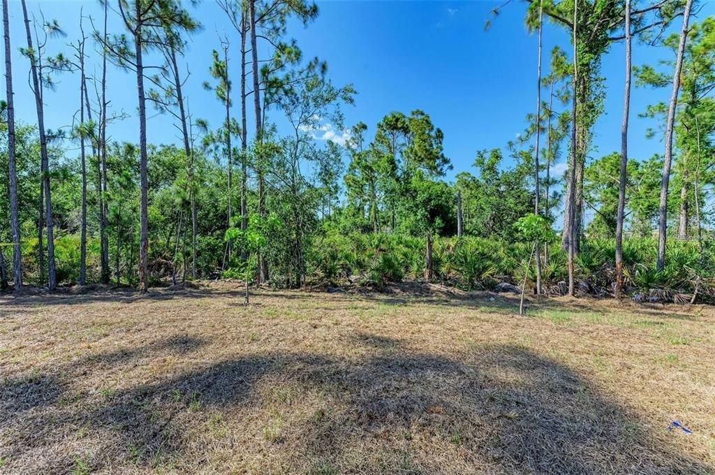 For Rent: $2,200 (4 beds, 2 baths, 1941 Square Feet)