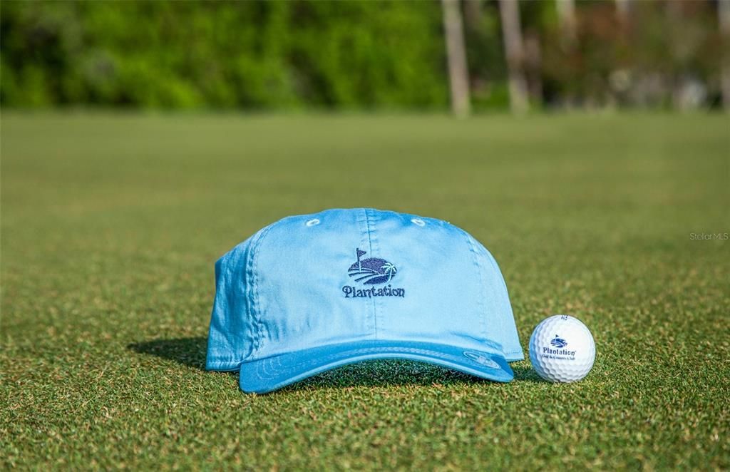 For Sale: $995,000 (4 beds, 2 baths, 3529 Square Feet)