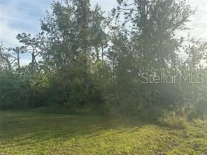 Active With Contract: $25,000 (0.23 acres)