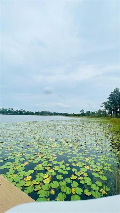 For Rent: $4,500 (5 beds, 4 baths, 3312 Square Feet)