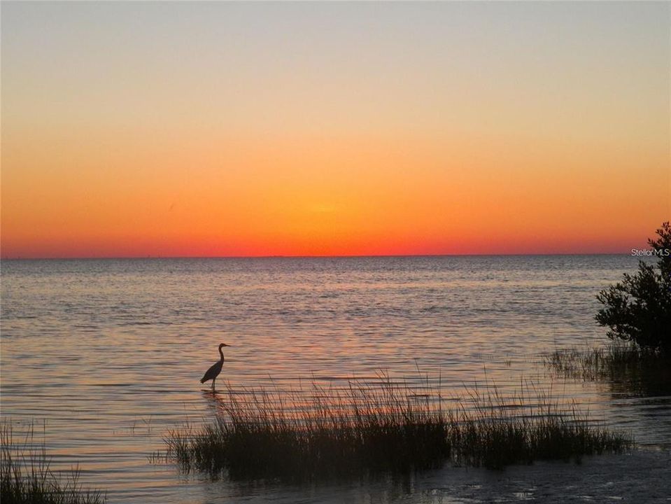 На продажу: $339,690 (0.33 acres)