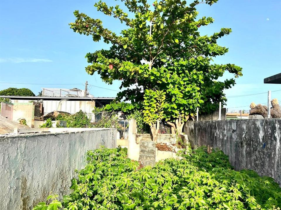 На продажу: $110,000 (0.06 acres)