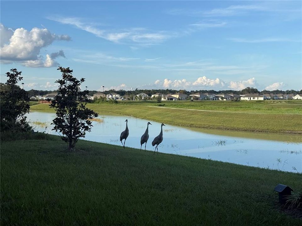 На продажу: $889,900 (5 спален, 4 ванн, 3138 Квадратных фут)