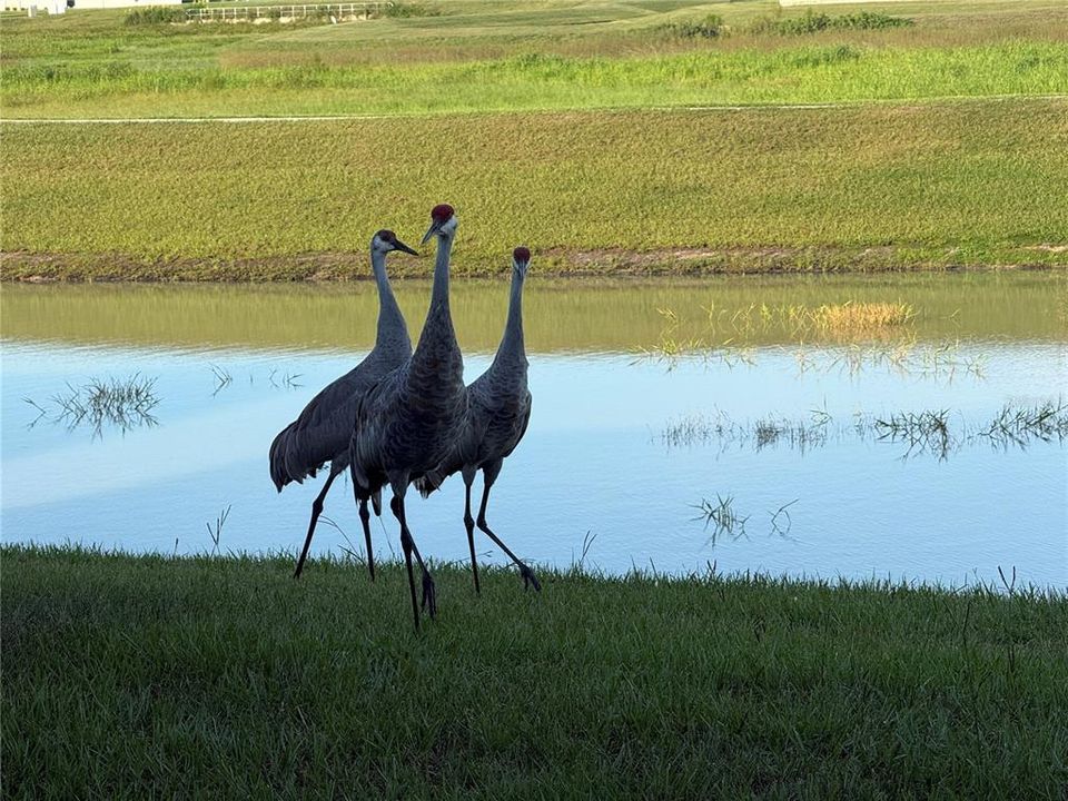 На продажу: $889,900 (5 спален, 4 ванн, 3138 Квадратных фут)