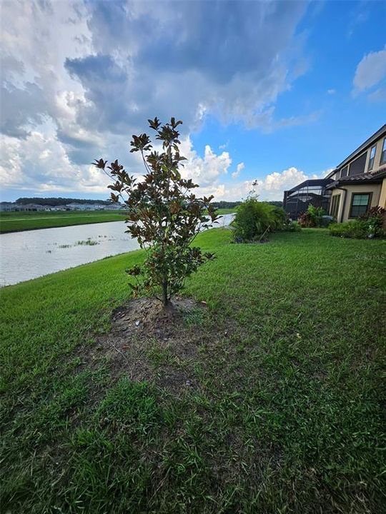 На продажу: $889,900 (5 спален, 4 ванн, 3138 Квадратных фут)