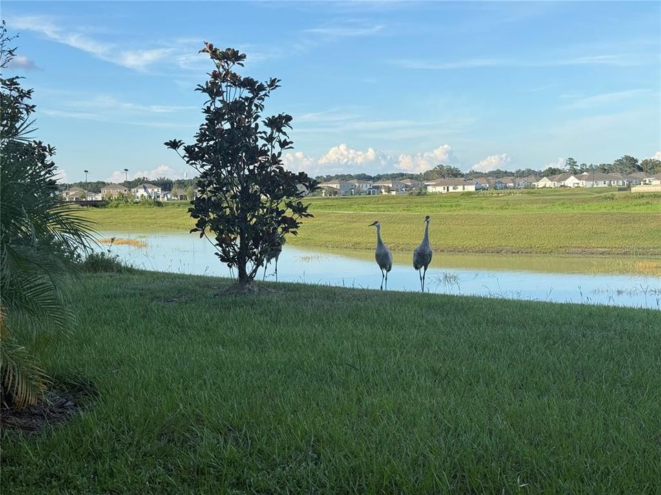 На продажу: $889,900 (5 спален, 4 ванн, 3138 Квадратных фут)