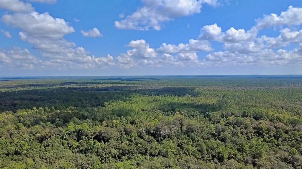 待售: $725,000 (3 贝兹, 2 浴室, 2421 平方英尺)