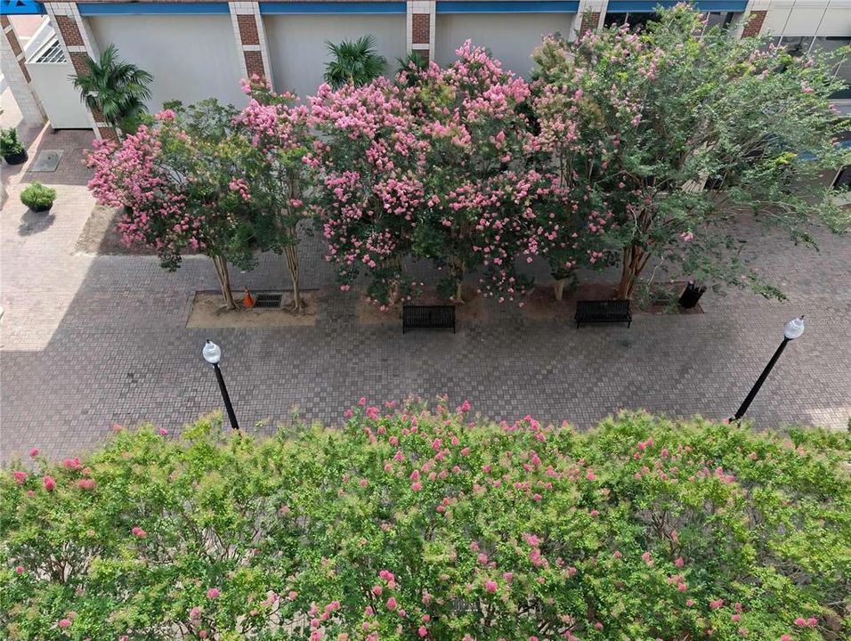 En Renta: $2,500 (1 camas, 1 baños, 667 Pies cuadrados)