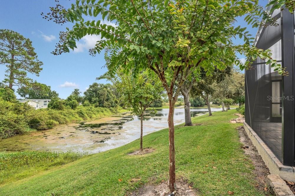 合同活跃: $369,900 (2 贝兹, 2 浴室, 1748 平方英尺)