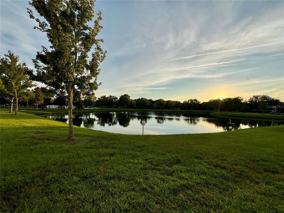 出租: $2,200 (3 贝兹, 2 浴室, 1805 平方英尺)