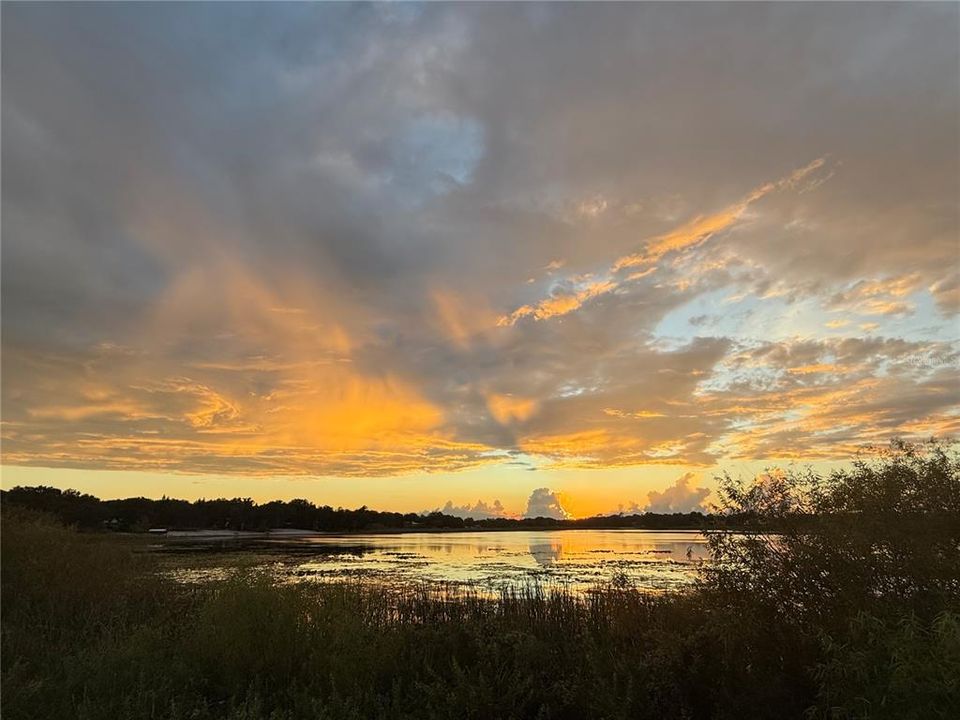 出租: $1,150 (1 贝兹, 1 浴室, 520 平方英尺)