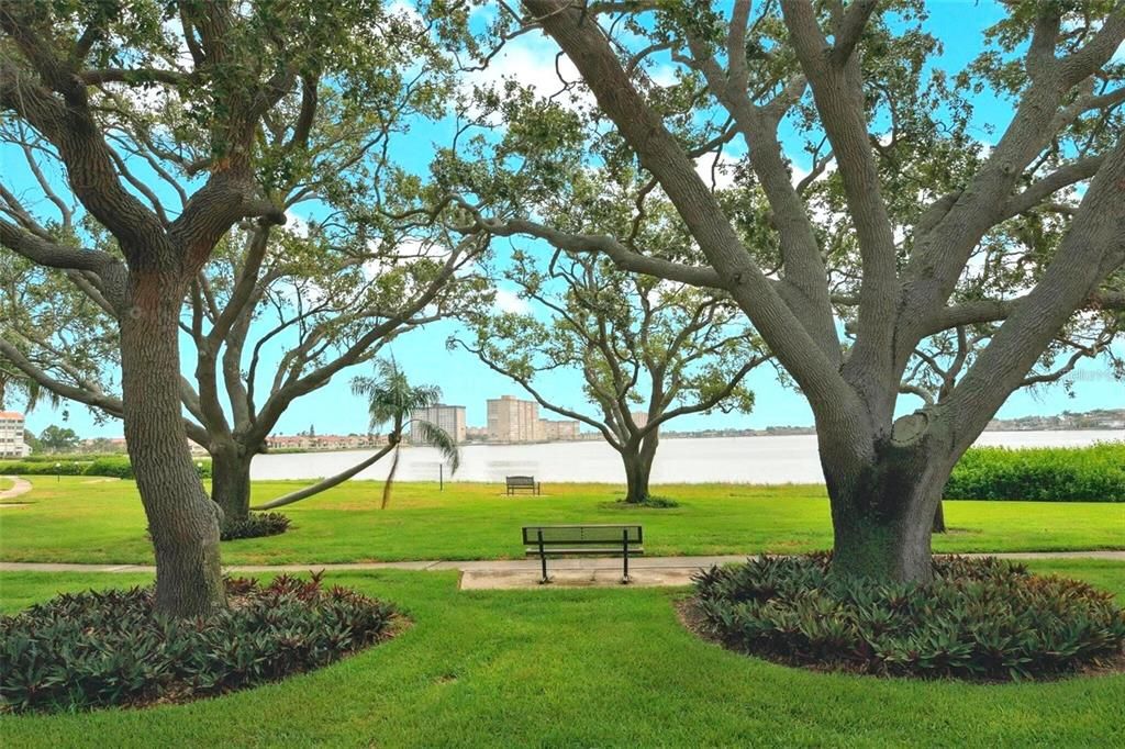 出租: $2,250 (1 贝兹, 1 浴室, 780 平方英尺)