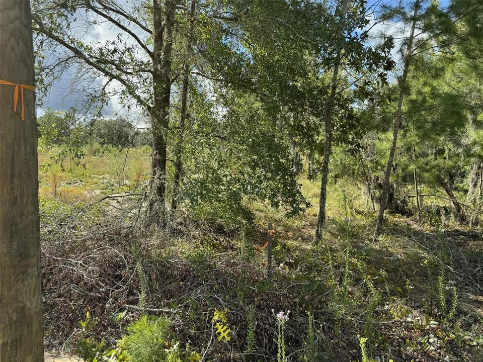 待售: $36,000 (0.93 acres)