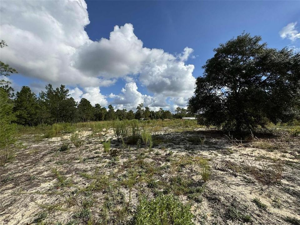 待售: $36,000 (0.93 acres)