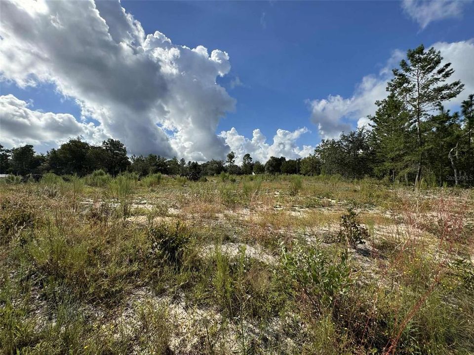 待售: $36,000 (0.93 acres)