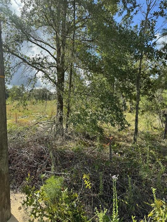 待售: $36,000 (0.93 acres)