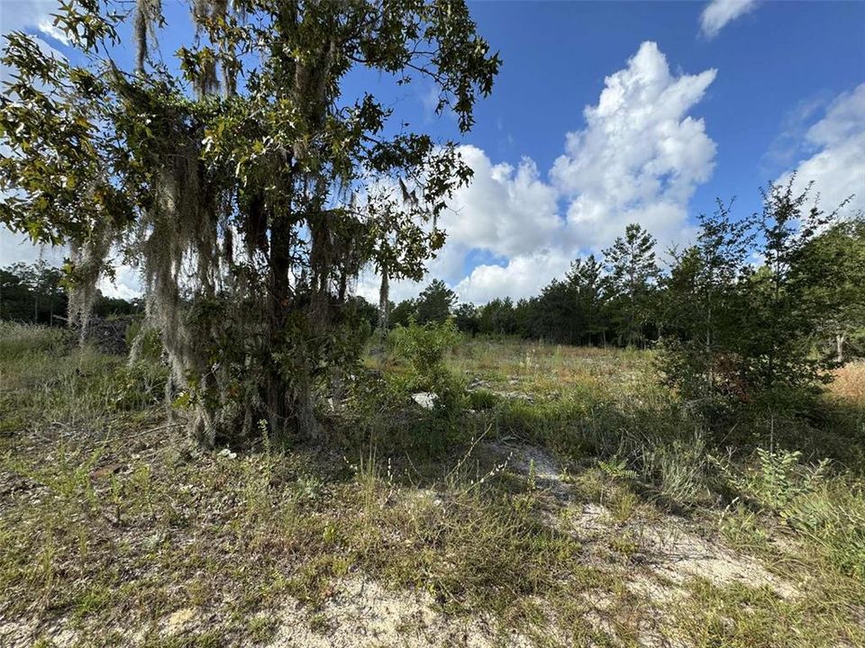 待售: $36,000 (0.93 acres)