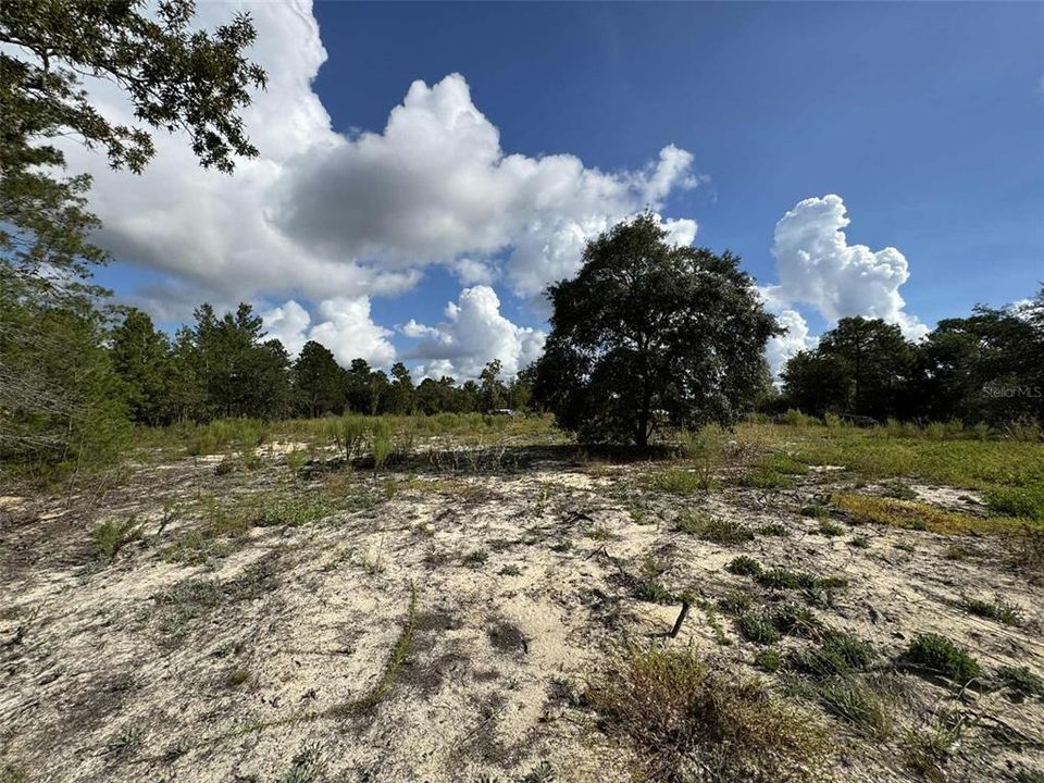 待售: $36,000 (0.93 acres)