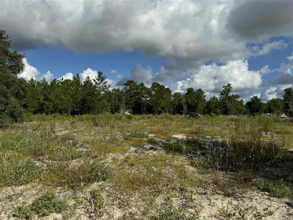 待售: $36,000 (0.93 acres)