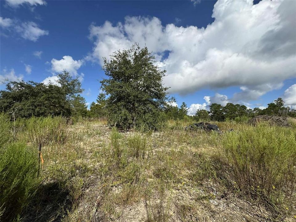 待售: $36,000 (0.93 acres)