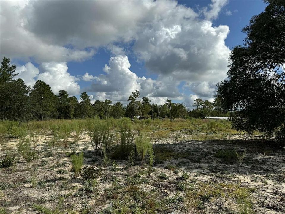 待售: $36,000 (0.93 acres)