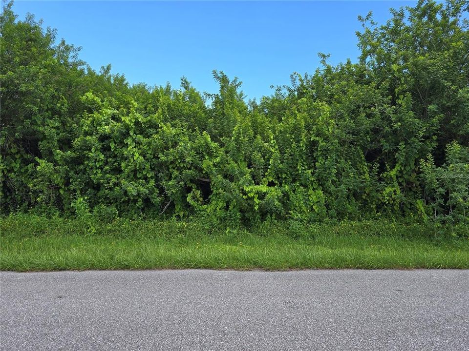 待售: $22,500 (0.23 acres)