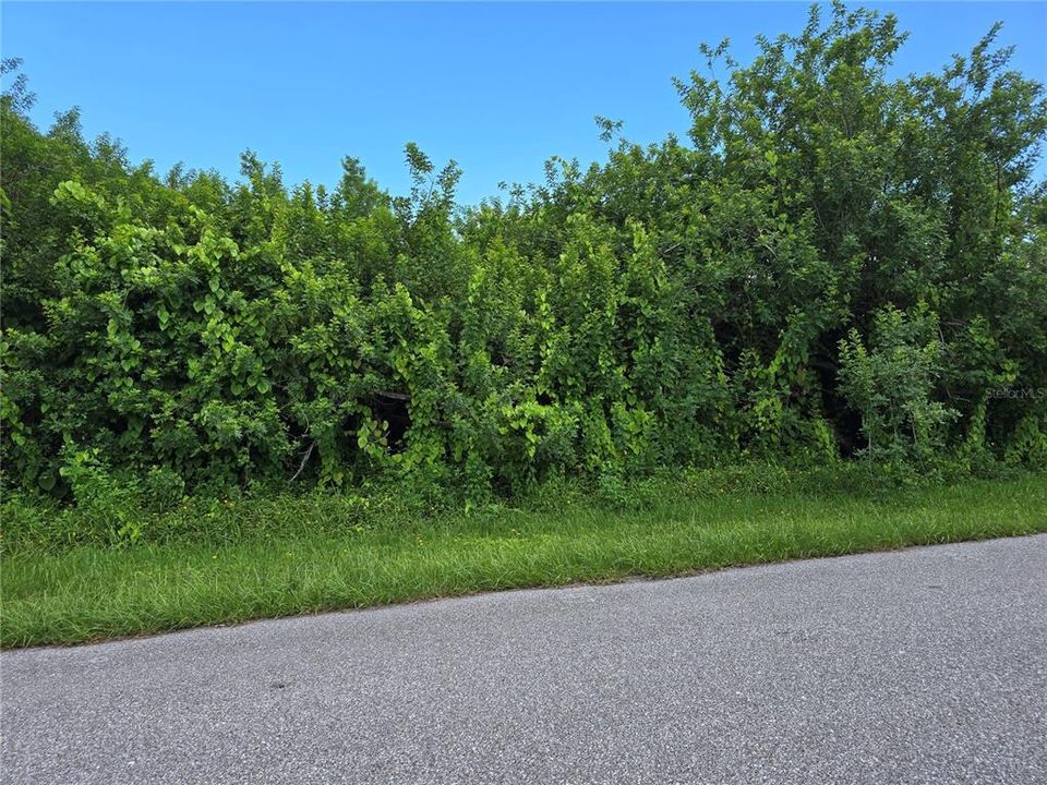 待售: $22,500 (0.23 acres)