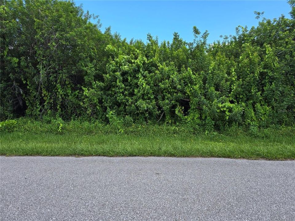 待售: $22,500 (0.23 acres)