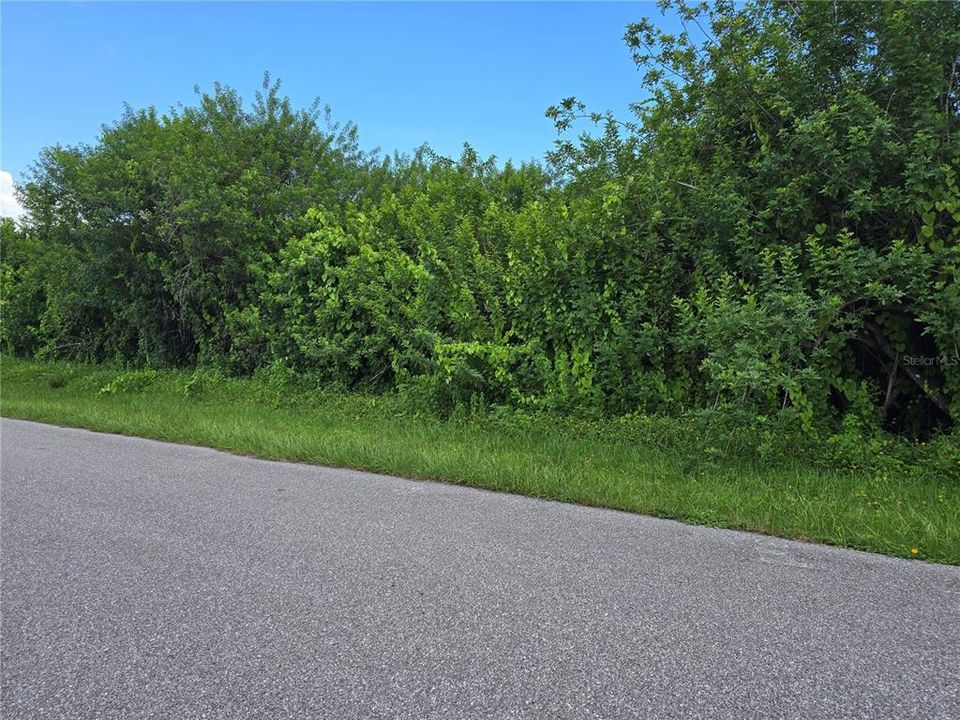 待售: $22,500 (0.23 acres)