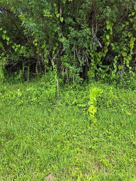 待售: $22,500 (0.23 acres)