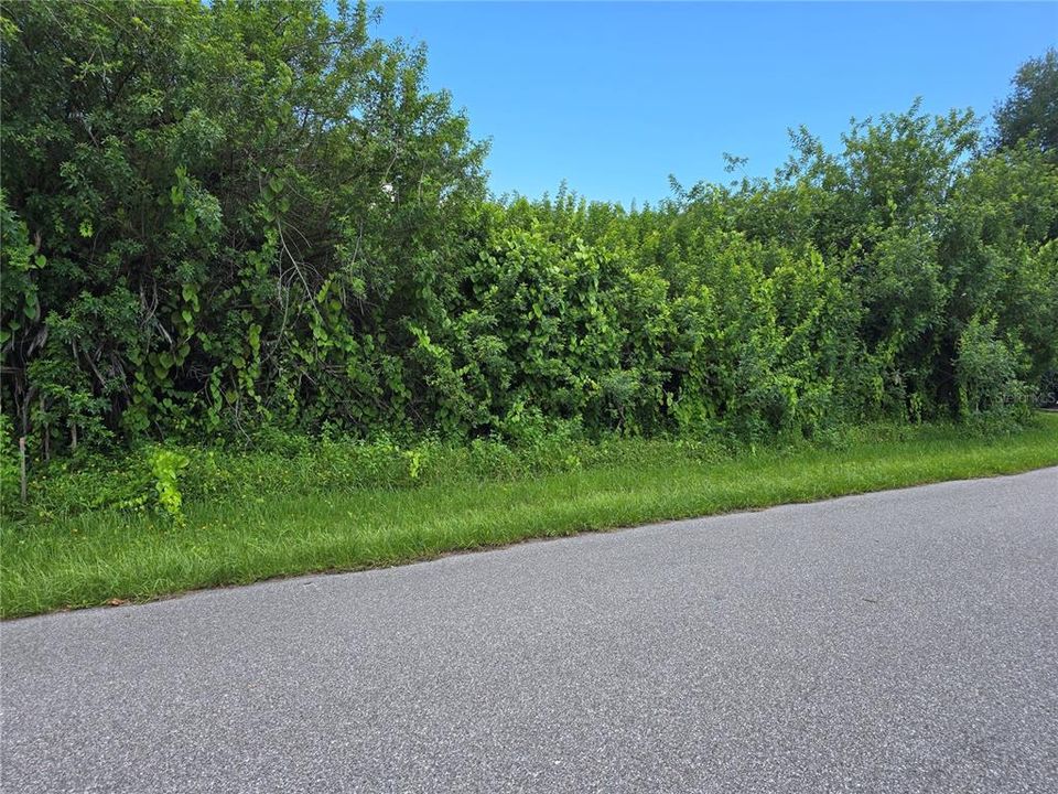 待售: $22,500 (0.23 acres)