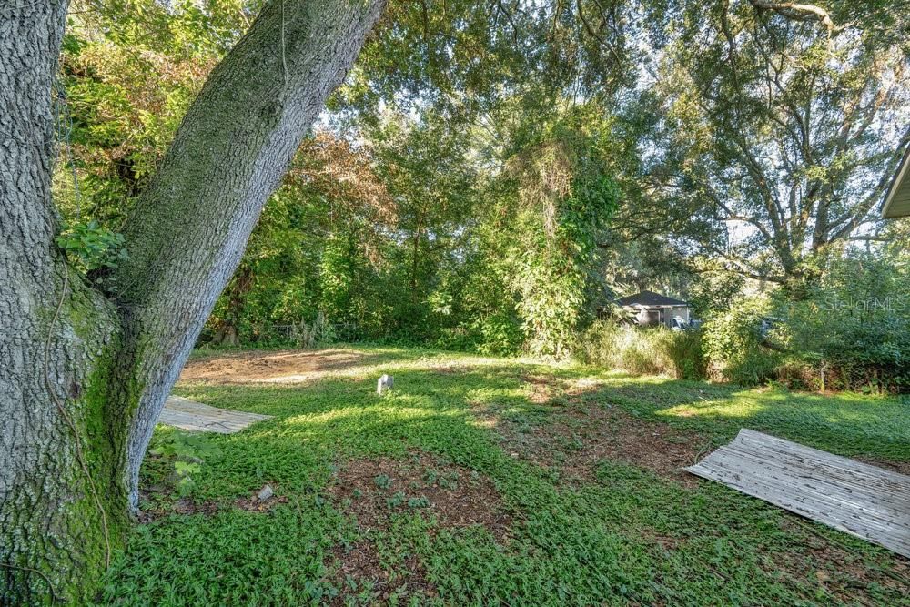 Active With Contract: $169,900 (3 beds, 2 baths, 1216 Square Feet)