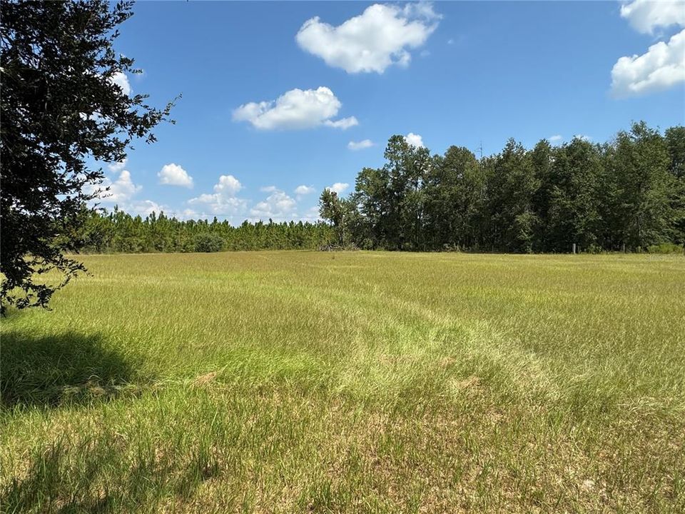 На продажу: $230,000 (3 спален, 2 ванн, 2062 Квадратных фут)