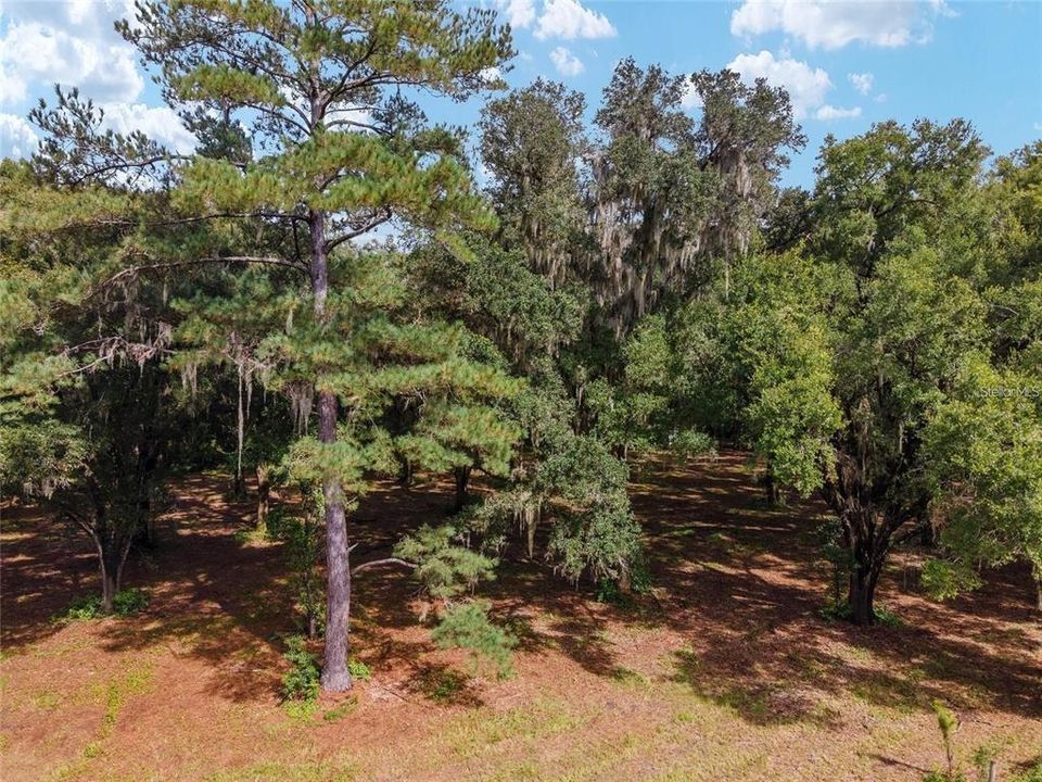 For Sale: $99,900 (2.05 acres)