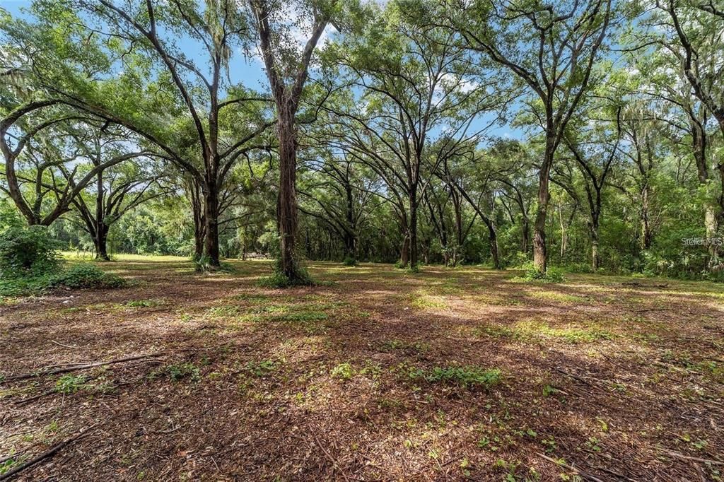 For Sale: $99,900 (2.05 acres)