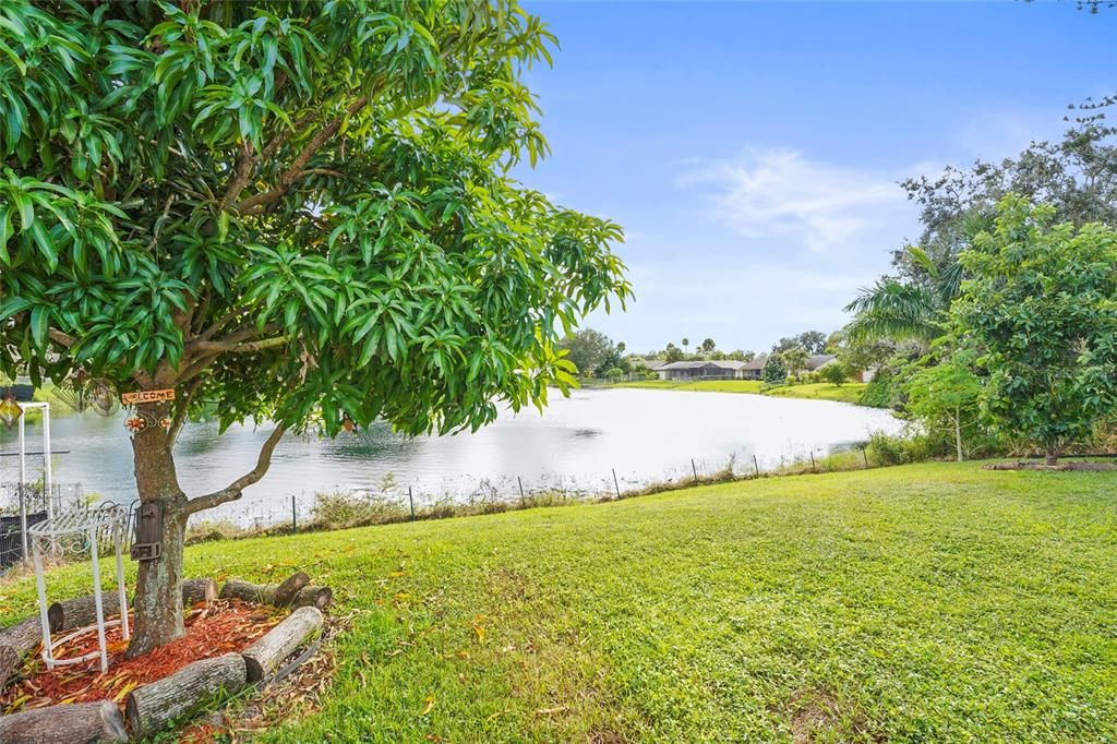 Activo con contrato: $335,000 (3 camas, 2 baños, 1452 Pies cuadrados)