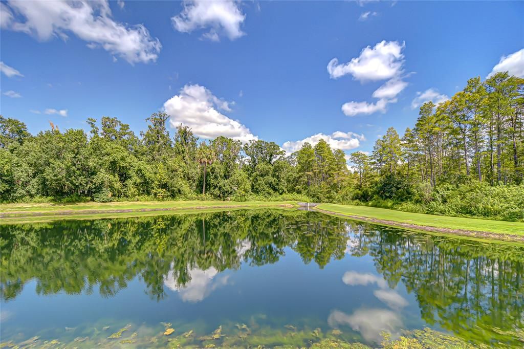 待售: $1,099,000 (5 贝兹, 4 浴室, 4536 平方英尺)