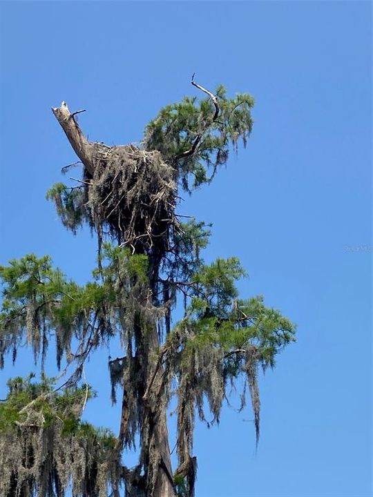 На продажу: $99,900 (0.44 acres)