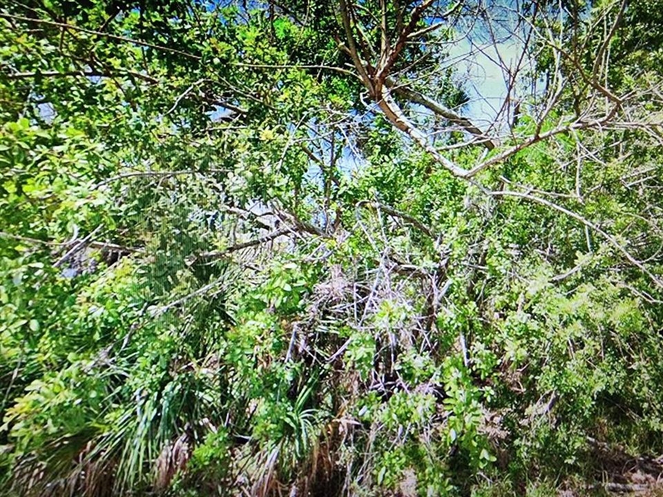 Recently Sold: $85,000 (0.11 acres)