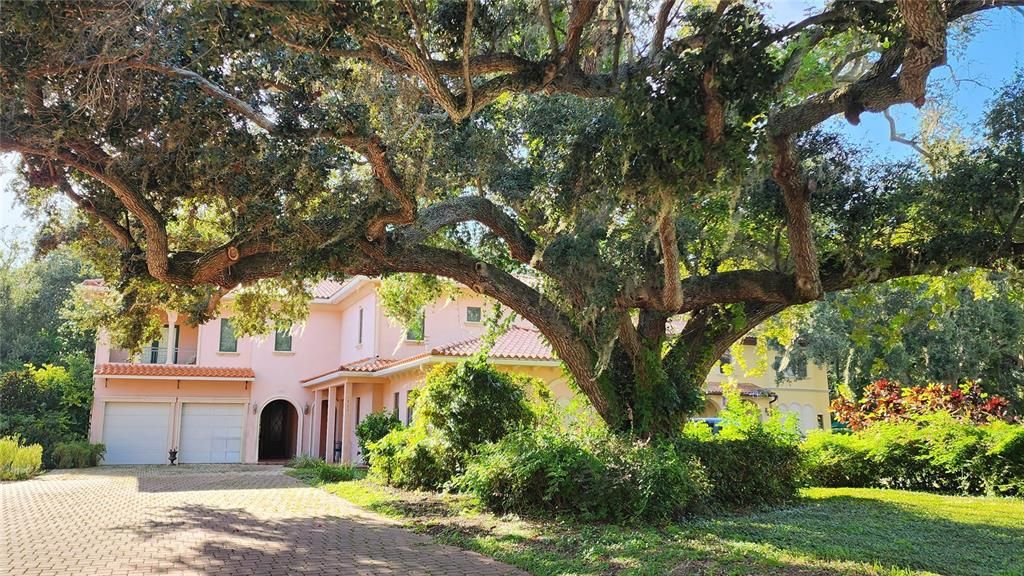 For Sale: $539,900 (4 beds, 3 baths, 2318 Square Feet)