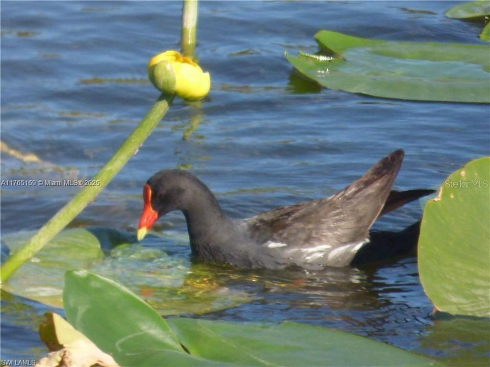 待售: $263,000 (2 贝兹, 2 浴室, 1128 平方英尺)