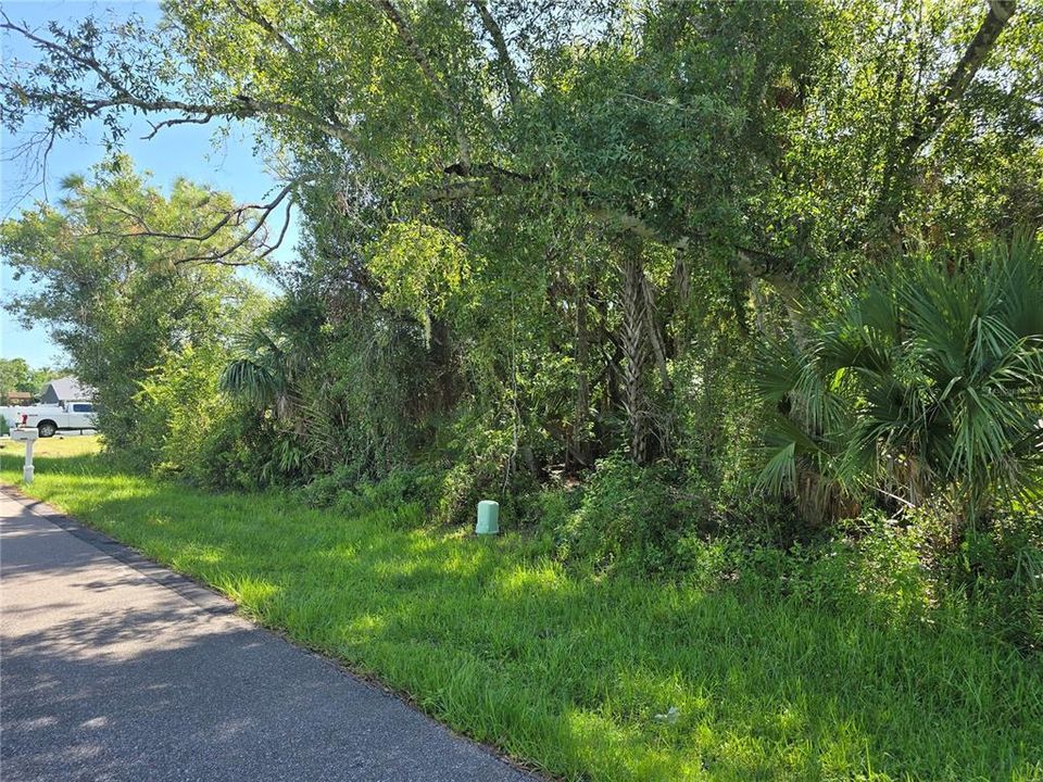 For Sale: $22,500 (0.23 acres)