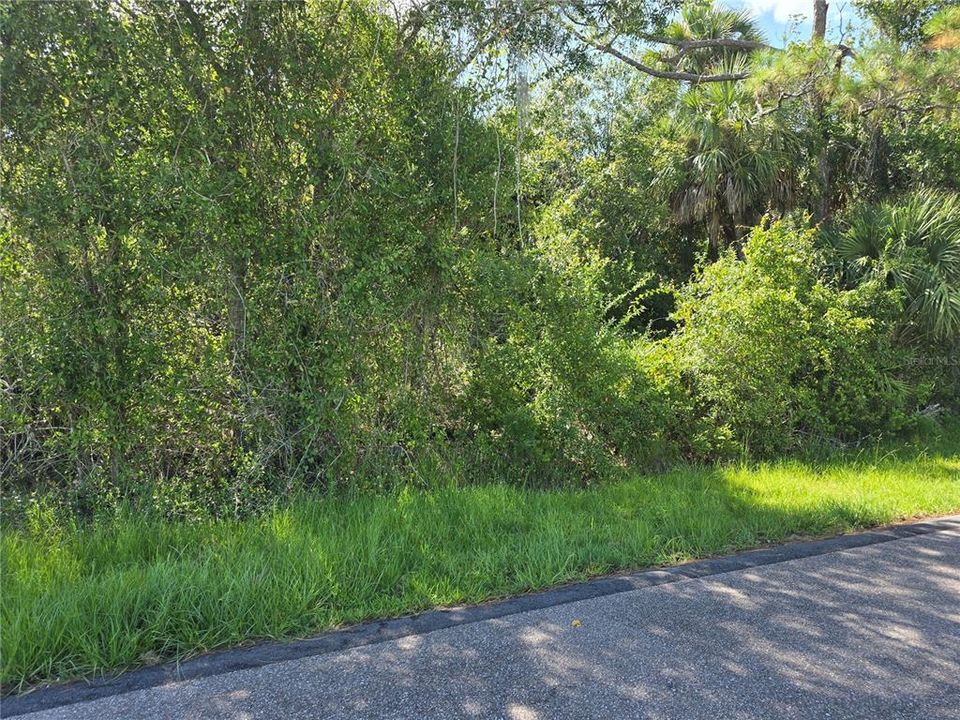 For Sale: $22,500 (0.23 acres)