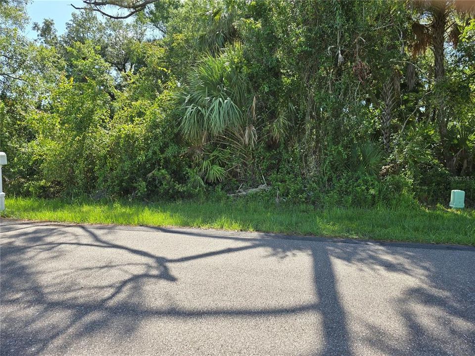 For Sale: $22,500 (0.23 acres)