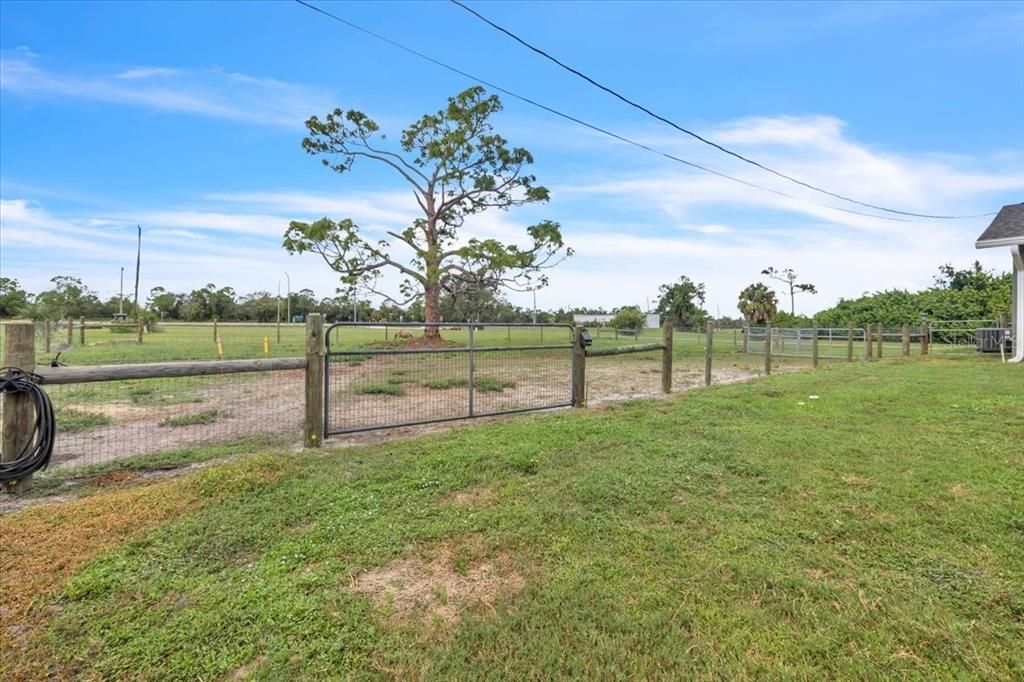 Active With Contract: $299,000 (3 beds, 2 baths, 1229 Square Feet)