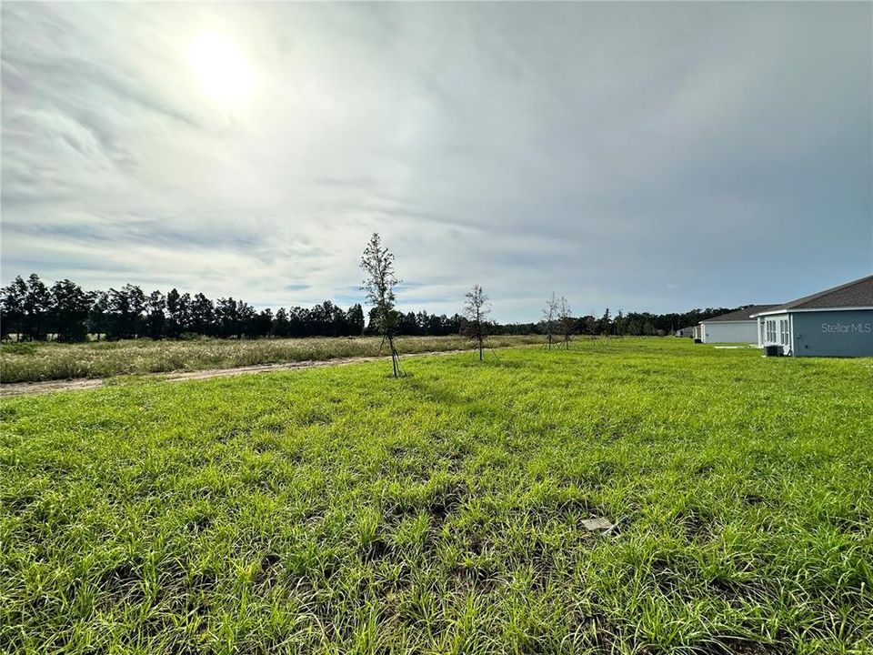 Под контрактом: $1,999 (3 спален, 2 ванн, 1560 Квадратных фут)